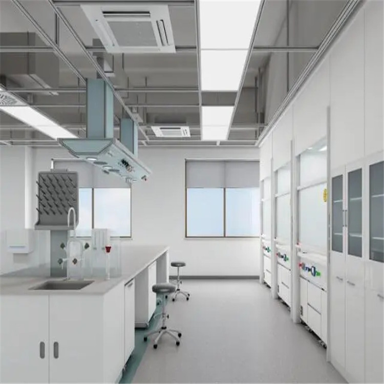 LUMI 万级实验室净化工程 洁净动物房装修设计