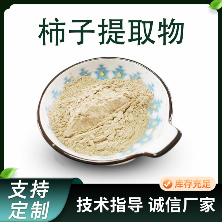 柿子提取物 10:1水溶浸膏浓缩粉 含单宁酸 棕黄色原料粉