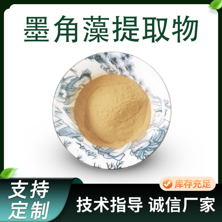 墨角藻提取物 植物萃取墨角藻多糖 10:1比例浓缩粉 原料
