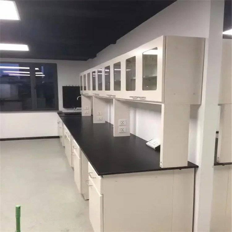 LUMI 实验室家具 耐酸碱全钢材质实验台边台带吊柜