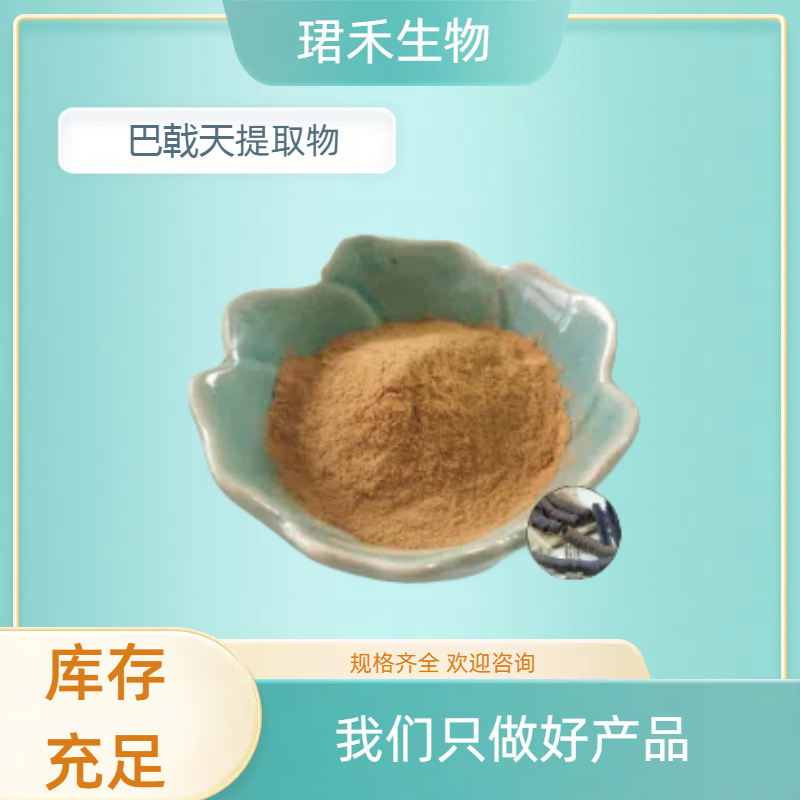巴戟天提取物 含巴戟天多糖30% 鸡肠风植物提取粉 珺禾