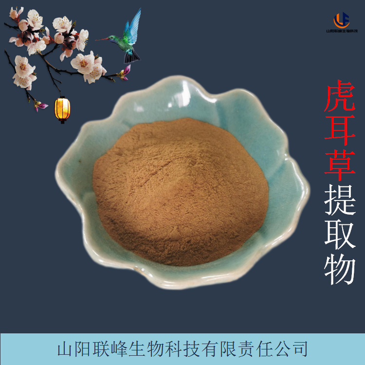 虎耳草提取物 水溶石荷叶浓缩浸膏粉 1公斤起订