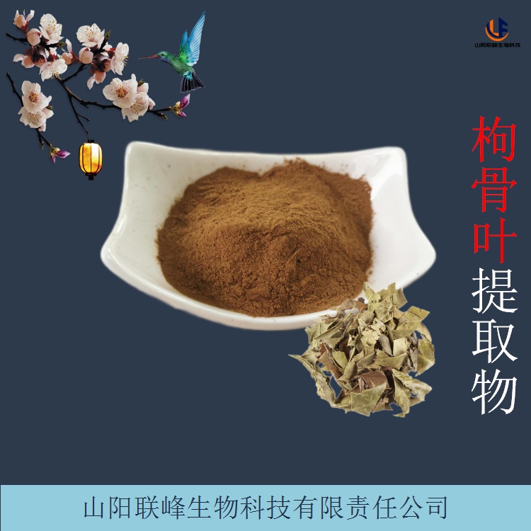 枸骨叶提取物 水溶功劳叶粉 可定制 品类齐全 棕黄色粉末