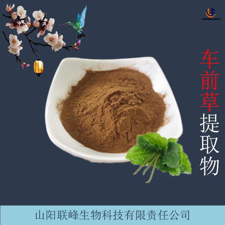 车前草提取物 车轮草浓缩粉 TCL检测 品类齐全 现货